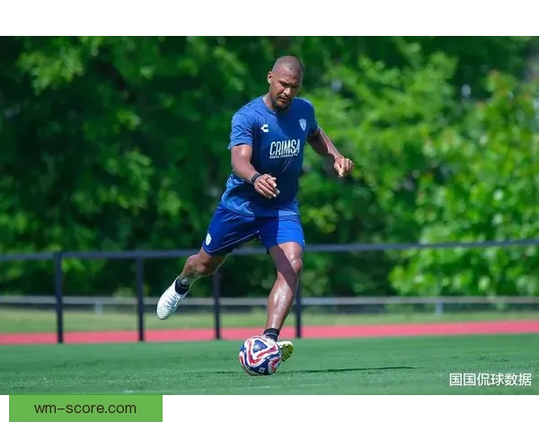 世界杯赛场前瞻专家深度解析热门球队胜负走势